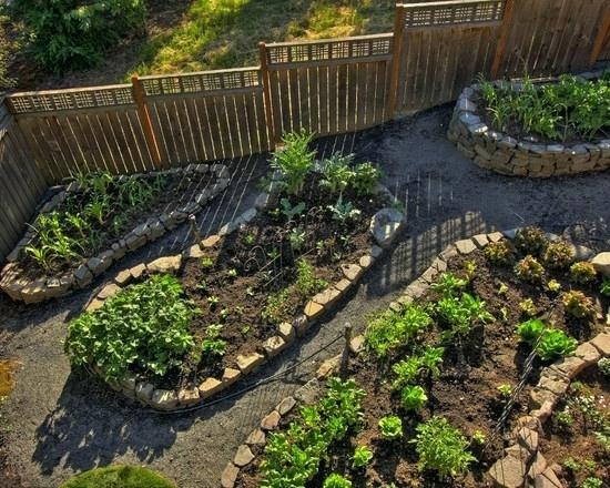 small-home-vegetable-garden-ideas-75 Ideje za mali kućni povrtnjak