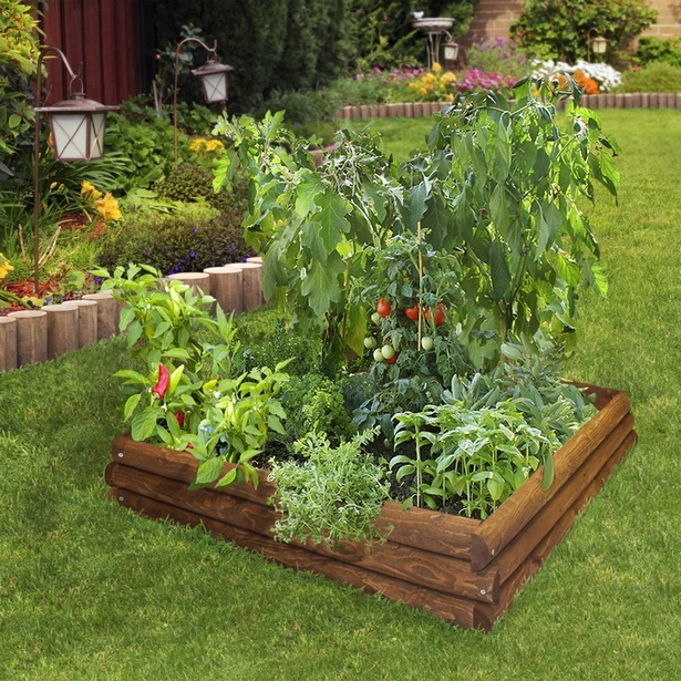 small-home-vegetable-garden-ideas-75_10 Ideje za mali kućni povrtnjak