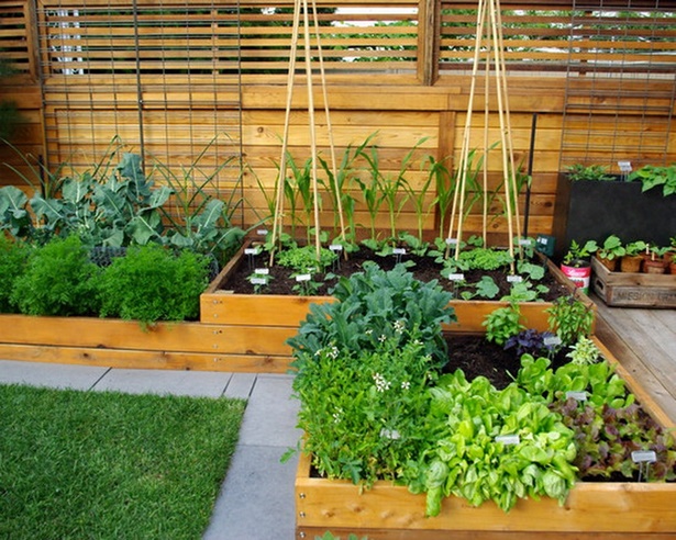 small-home-vegetable-garden-ideas-75_11 Ideje za mali kućni povrtnjak