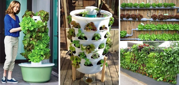 small-home-vegetable-garden-ideas-75_14 Ideje za mali kućni povrtnjak