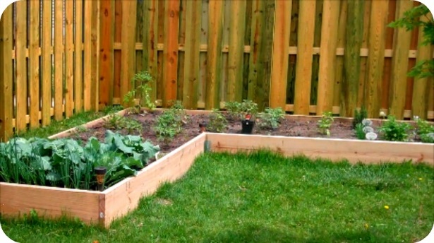 small-home-vegetable-garden-ideas-75_15 Ideje za mali kućni povrtnjak