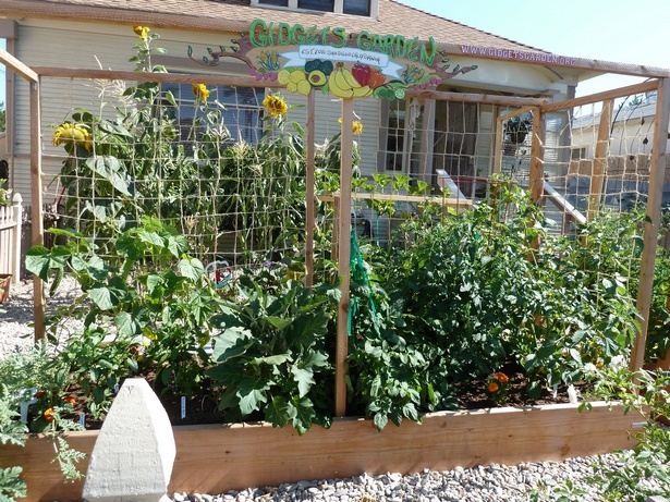 small-home-vegetable-garden-ideas-75_17 Ideje za mali kućni povrtnjak