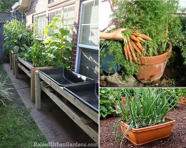 small-home-vegetable-garden-ideas-75_2 Ideje za mali kućni povrtnjak