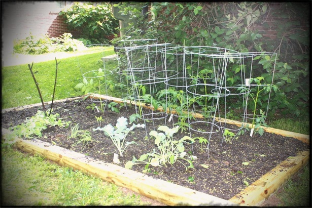 small-home-vegetable-garden-ideas-75_3 Ideje za mali kućni povrtnjak