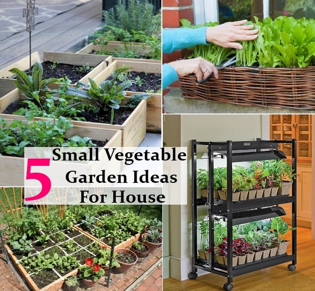 small-home-vegetable-garden-ideas-75_5 Ideje za mali kućni povrtnjak
