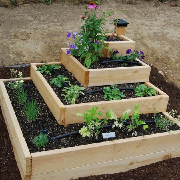 small-home-vegetable-garden-ideas-75_6 Ideje za mali kućni povrtnjak