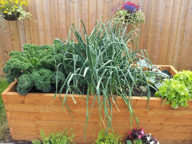 small-home-vegetable-garden-ideas-75_7 Ideje za mali kućni povrtnjak