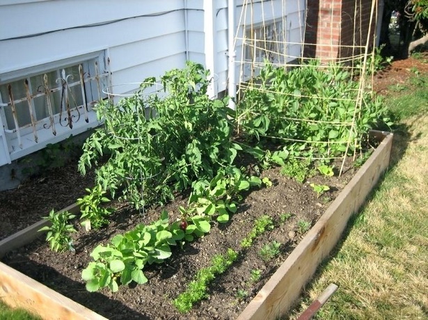 small-home-vegetable-garden-ideas-75_8 Ideje za mali kućni povrtnjak