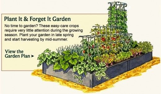 small-home-vegetable-garden-ideas-75_9 Ideje za mali kućni povrtnjak