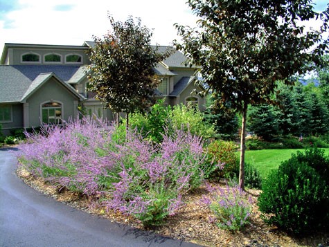 landscape-driveway-ideas-03_19 Ideje za uređenje prilaza