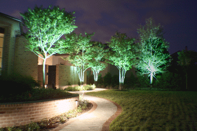 outdoor-lighting-for-trees-low-voltage-97 Vanjska rasvjeta za niskonaponska stabla