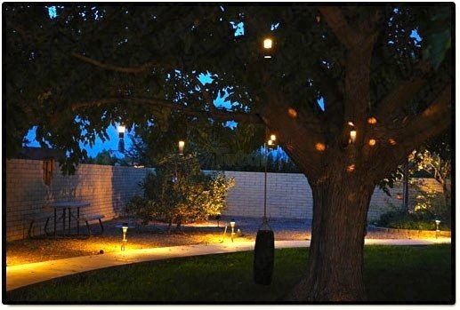 outdoor-lighting-for-trees-low-voltage-97 Vanjska rasvjeta za niskonaponska stabla