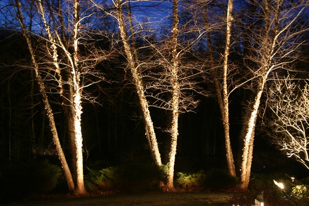 outdoor-lighting-for-trees-low-voltage-97_10 Vanjska rasvjeta za niskonaponska stabla