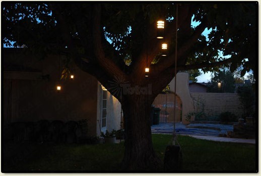 outdoor-lighting-for-trees-low-voltage-97_11 Vanjska rasvjeta za niskonaponska stabla