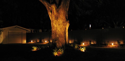 outdoor-lighting-for-trees-low-voltage-97_12 Vanjska rasvjeta za niskonaponska stabla
