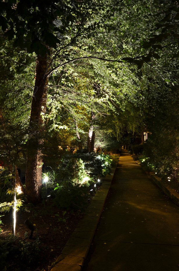 outdoor-lighting-for-trees-low-voltage-97_14 Vanjska rasvjeta za niskonaponska stabla