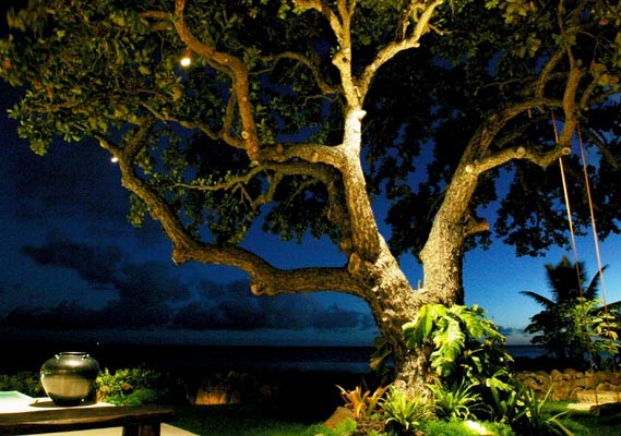 outdoor-lighting-for-trees-low-voltage-97_17 Vanjska rasvjeta za niskonaponska stabla
