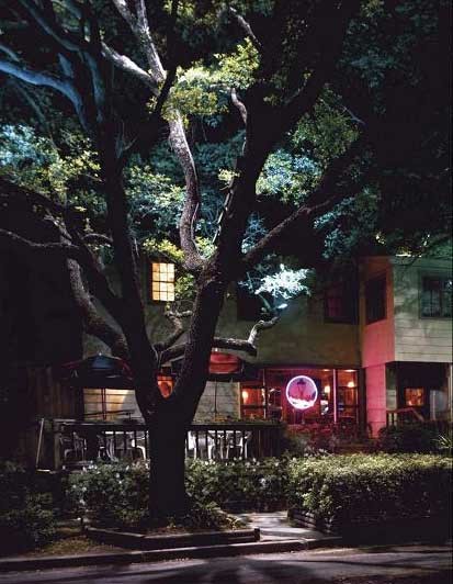 outdoor-lighting-for-trees-low-voltage-97_2 Vanjska rasvjeta za niskonaponska stabla