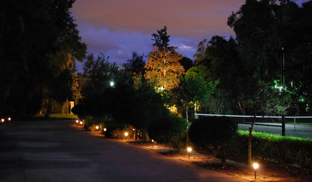 outdoor-lighting-for-trees-low-voltage-97_4 Vanjska rasvjeta za niskonaponska stabla