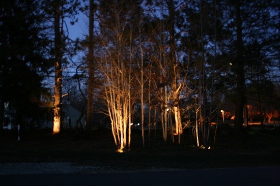 outdoor-lighting-for-trees-low-voltage-97_6 Vanjska rasvjeta za niskonaponska stabla
