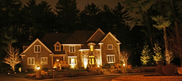 outdoor-lighting-for-trees-low-voltage-97_8 Vanjska rasvjeta za niskonaponska stabla