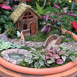 pictures-of-miniature-fairy-gardens-99_2 Fotografije minijaturnih bajkovitih vrtova