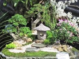 tropical-fairy-garden-92_14 Tropski vilinski vrt