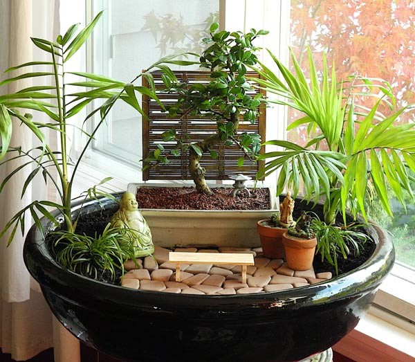 tropical-fairy-garden-92_19 Tropski vilinski vrt