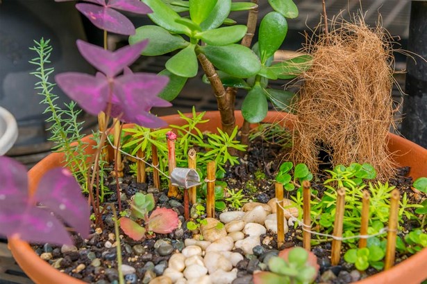 tropical-fairy-garden-92_7 Tropski vilinski vrt