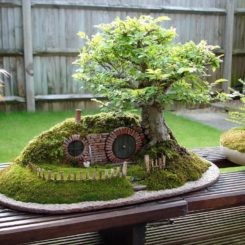 tropical-fairy-garden-92_8 Tropski vilinski vrt