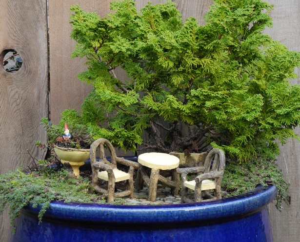 tropical-fairy-garden-92_9 Tropski vilinski vrt
