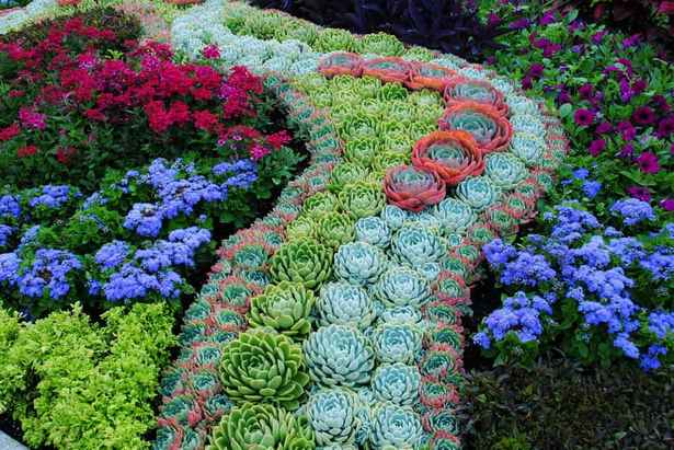 succulent-garden-ideas-16 Ideje za sočan vrt