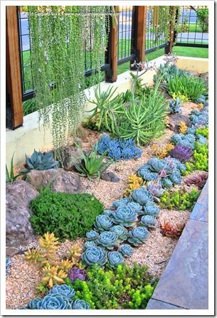 succulent-garden-ideas-16_10 Ideje za sočan vrt