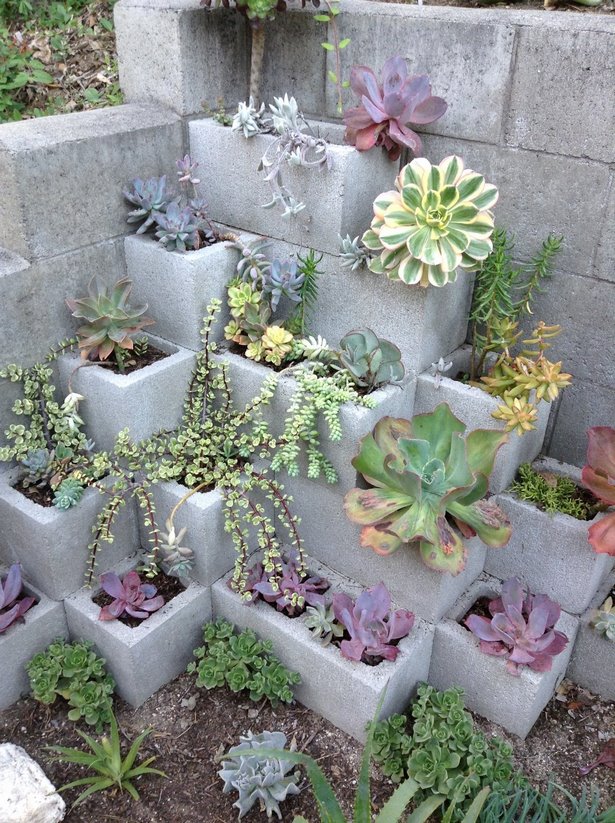succulent-garden-ideas-16_12 Ideje za sočan vrt