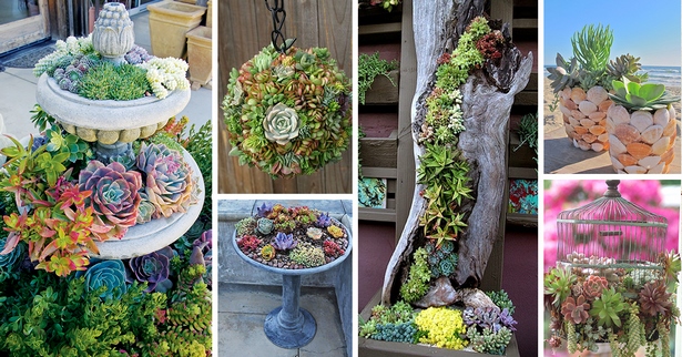 succulent-garden-ideas-16_13 Ideje za sočan vrt