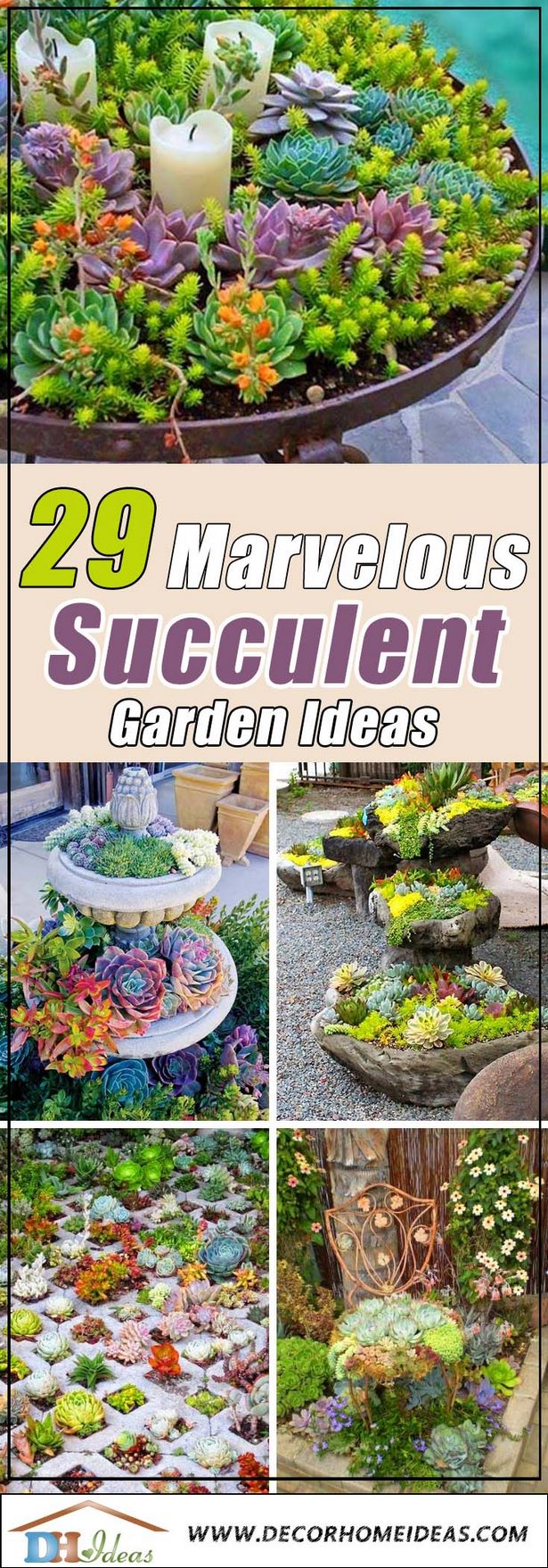 succulent-garden-ideas-16_14 Ideje za sočan vrt