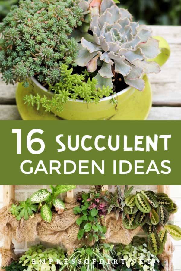succulent-garden-ideas-16_15 Ideje za sočan vrt