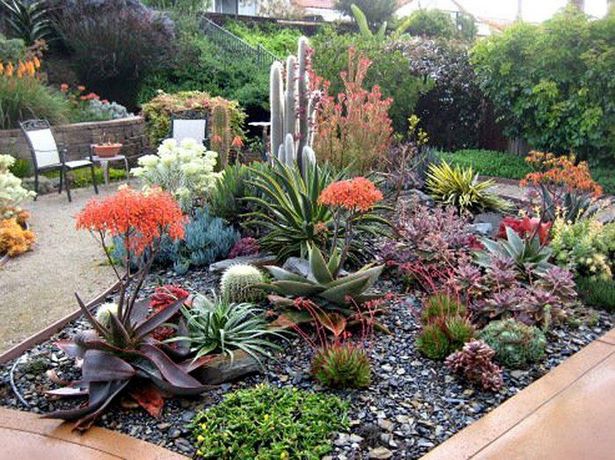 succulent-garden-ideas-16_16 Ideje za sočan vrt