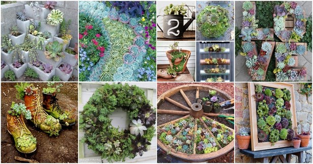 succulent-garden-ideas-16_3 Ideje za sočan vrt