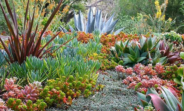 succulent-garden-ideas-16_7 Ideje za sočan vrt