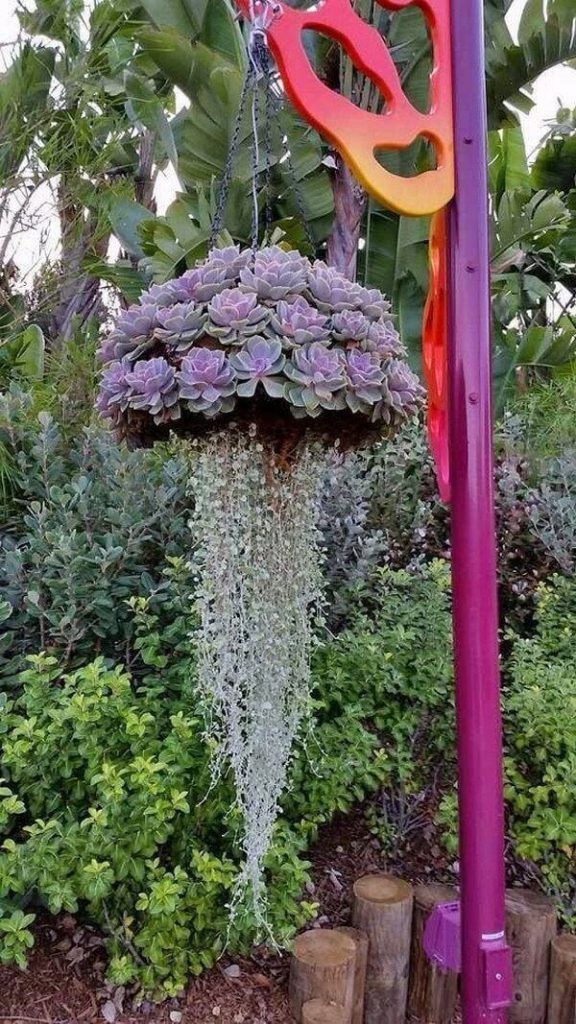 succulent-garden-ideas-16_9 Ideje za sočan vrt