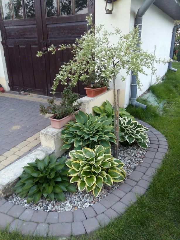 unique-front-yards-91_10 Jedinstvena prednja dvorišta