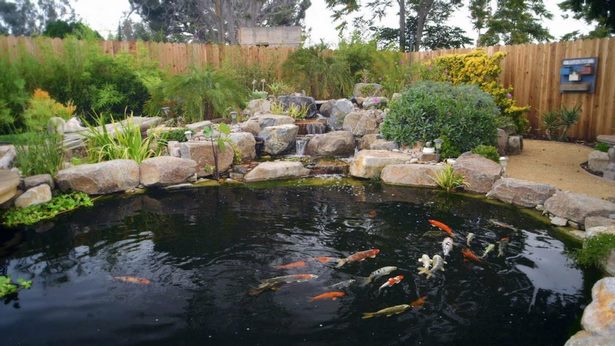 Napravite koi ribnjak