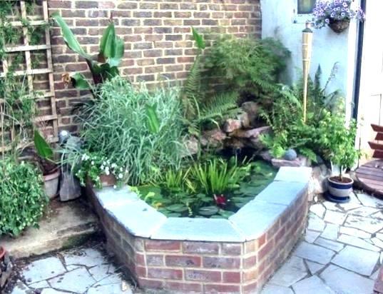 fish-ponds-for-small-gardens-52_16 Ribnjaci za male vrtove