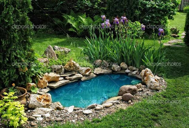 fish-ponds-for-small-gardens-52_4 Ribnjaci za male vrtove