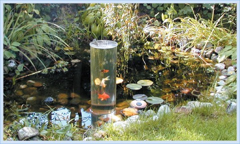 fish-ponds-for-small-gardens-52_8 Ribnjaci za male vrtove