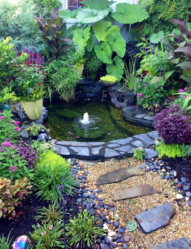 fish-ponds-for-small-gardens-52_9 Ribnjaci za male vrtove