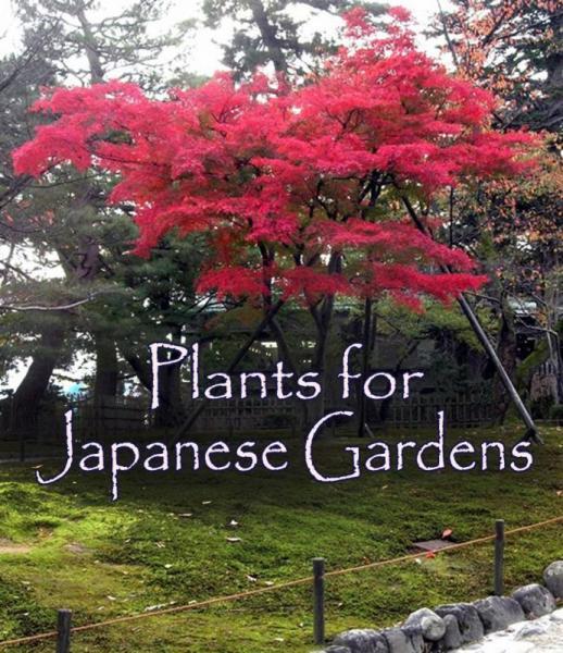 japanese-garden-plants-zone-7-05_3 Japanske vrtne biljke zona 7