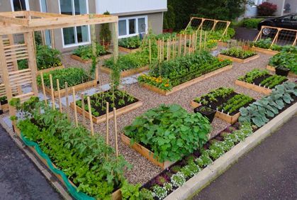 backyard-garden-ideas-13_18 Ideje za vrt u dvorištu