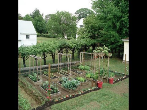 backyard-vegetable-garden-ideas-80 Ideje za dvorišni povrtnjak